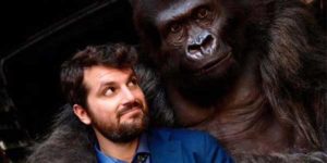 Attenti al Gorilla film al cinema recensione