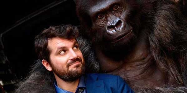 Attenti al Gorilla film stasera in tv